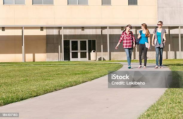 Freunde Von Schule Stockfoto und mehr Bilder von Campus - Campus, Gehweg, Gras