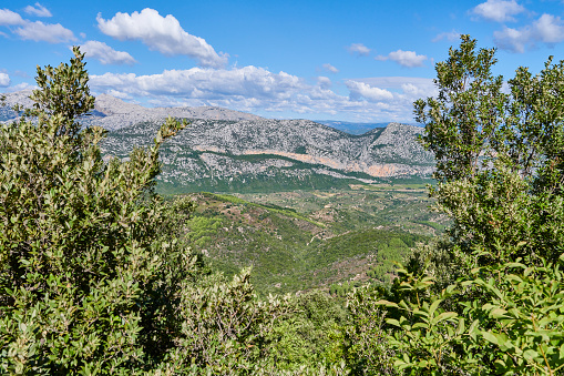Daytime view of the karstic area known as Supramonte. Dorgali. Province of Nuoro. Sardinia. Italy.