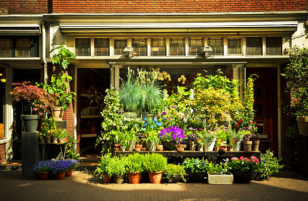 magasin de fleurs - flower market photos photos et images de collection