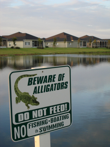 A subdivision in Florida warns of the hungry wild animals in the back yards.See my other shot of this area:http://www.istockphoto.com/file_closeup.phpid=1812269