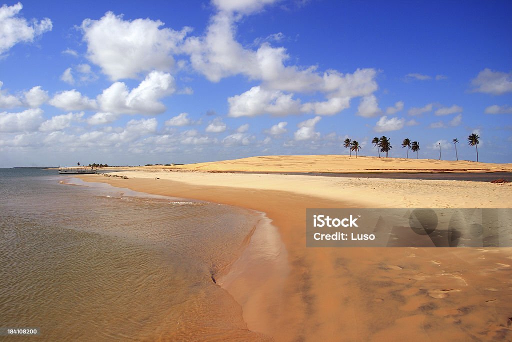 Wild beach (Brasil - Foto de stock de Agua libre de derechos