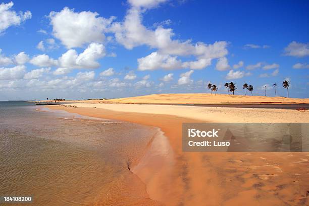 Wild Beach Stock Photo - Download Image Now - Beach, Brazil, Clear Sky