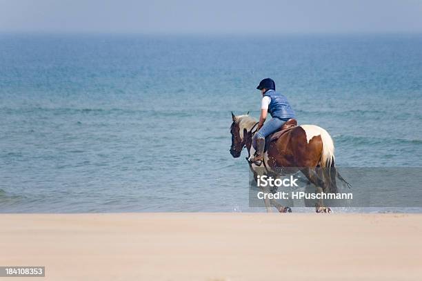 Ausritt Am Strand Stockfoto und mehr Bilder von Bamburgh - Bamburgh, Pferd, Aktivitäten und Sport