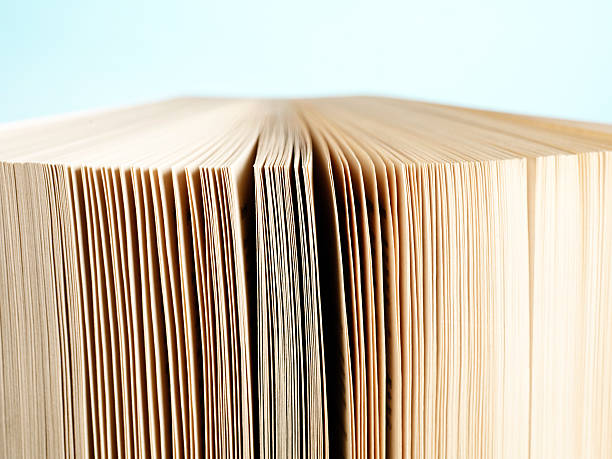 istock Pages of a book on blue background 184108810