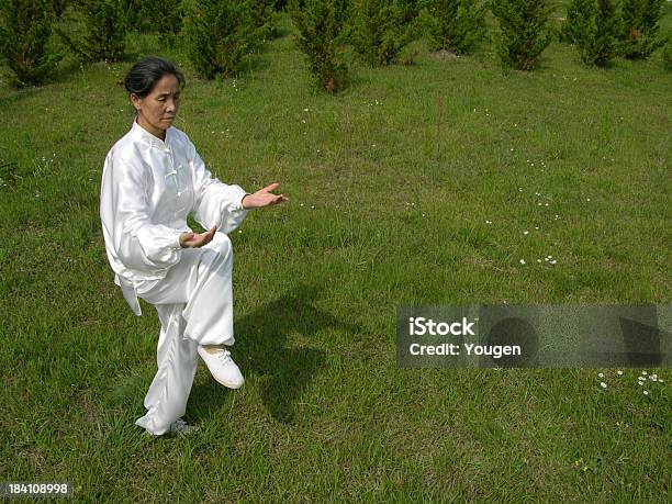 Taichi Stockfoto und mehr Bilder von Aktiver Lebensstil - Aktiver Lebensstil, Aktivitäten und Sport, Auf dem Wasser treiben