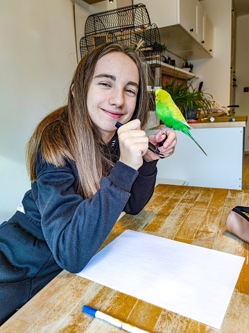 Budgie Helping Girl with Homework