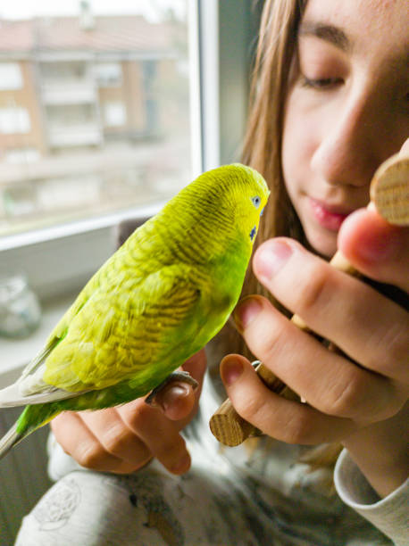 istock Girl Having Fun with her Cute Little Budgie 1841093421