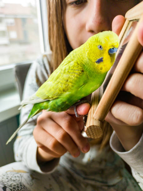 istock Girl Having Fun with her Cute Little Budgie 1841093424