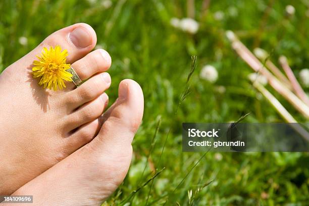 Dentedeleão Entre Os Dedos Dos Pés Na Relva - Fotografias de stock e mais imagens de Amarelo - Amarelo, Anel - Joia, Ao Ar Livre