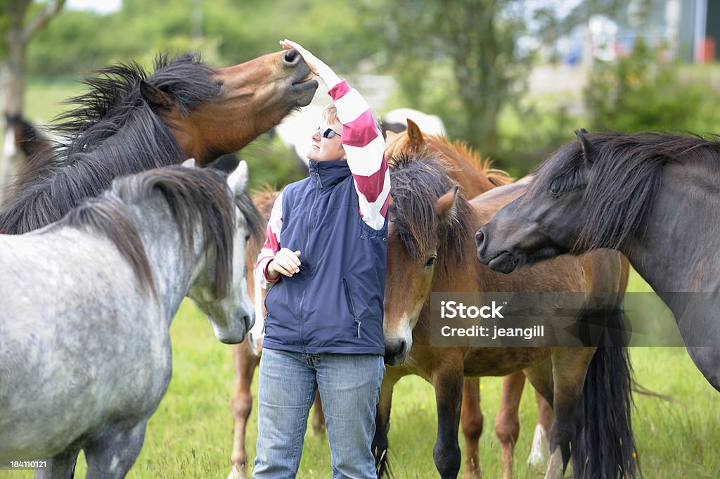 O cavalo whisperer - Royalty-free 50 Anos Foto de stock