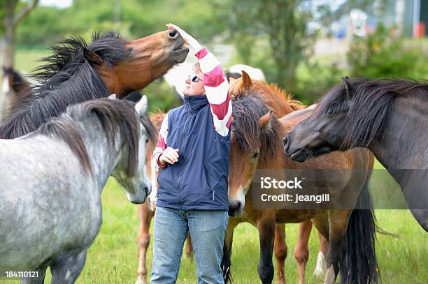 O Cavalo Whisperer - Fotografias de stock e mais imagens de 50 Anos - 50 Anos, 50-54 anos, Adulto