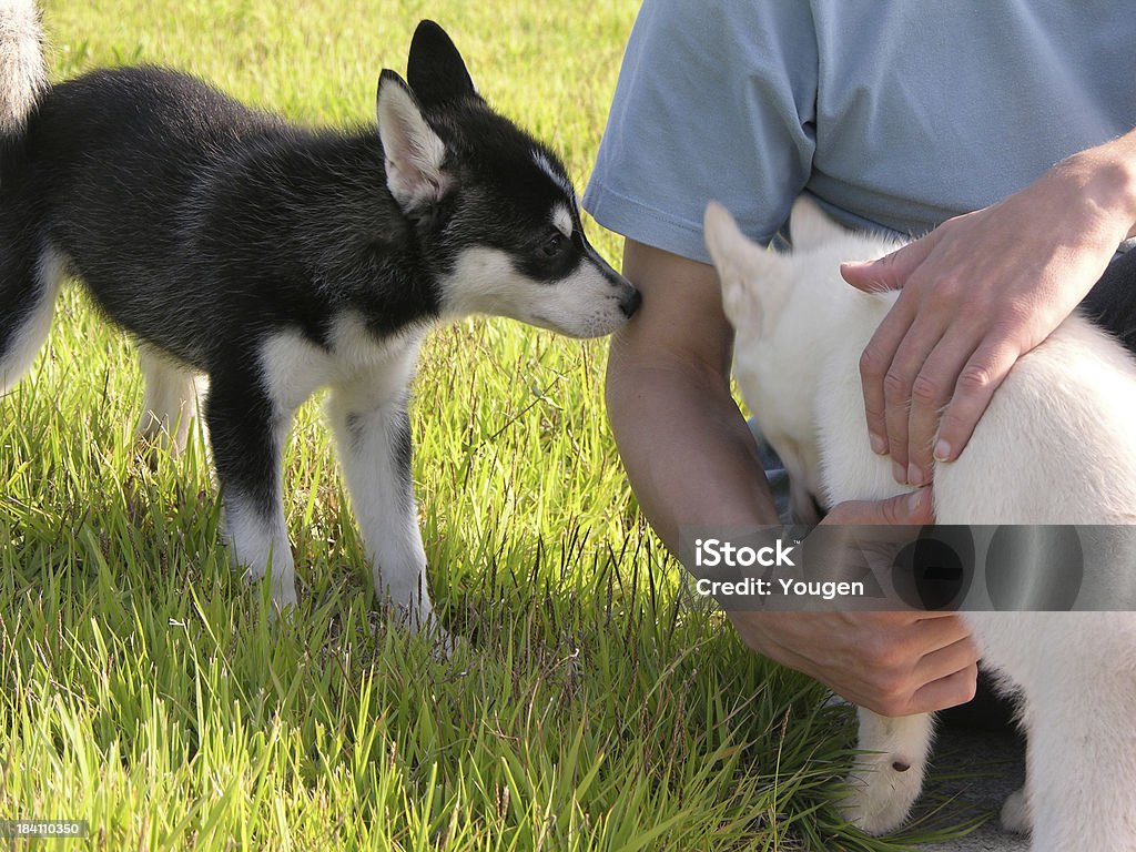 Togetherness Nuzzle close to... People Stock Photo