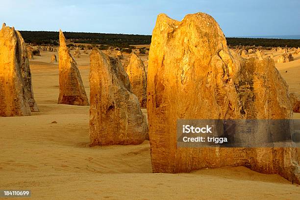 Foto de Pinnacles No Amanhecer e mais fotos de stock de Alto - Descrição Geral - Alto - Descrição Geral, Amarelo, Areia
