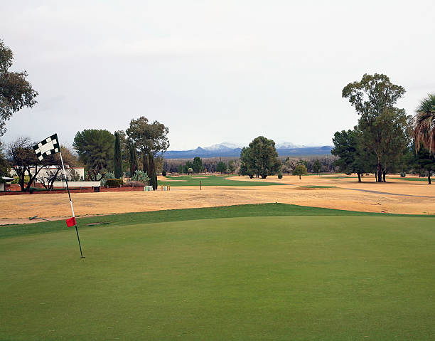 istock Desert Golf Course With Snow Capped Santa Rita Mountains 184110833