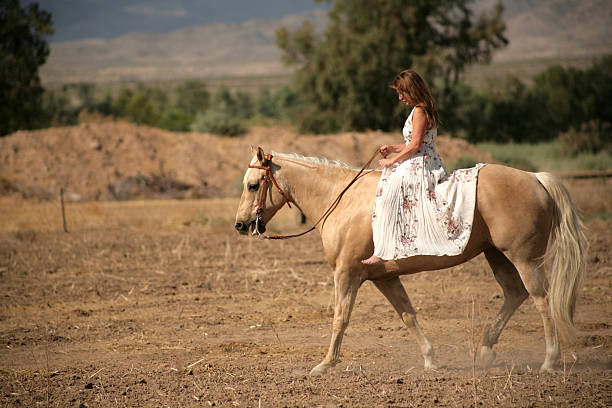 istock Ride in the Countryside 184111233