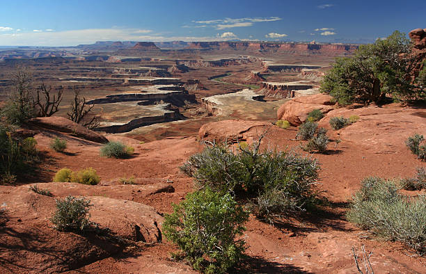 istock Canyonland National Park 184111632