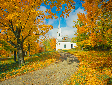 Autumn Sugar Maples And Country Church, Vermont