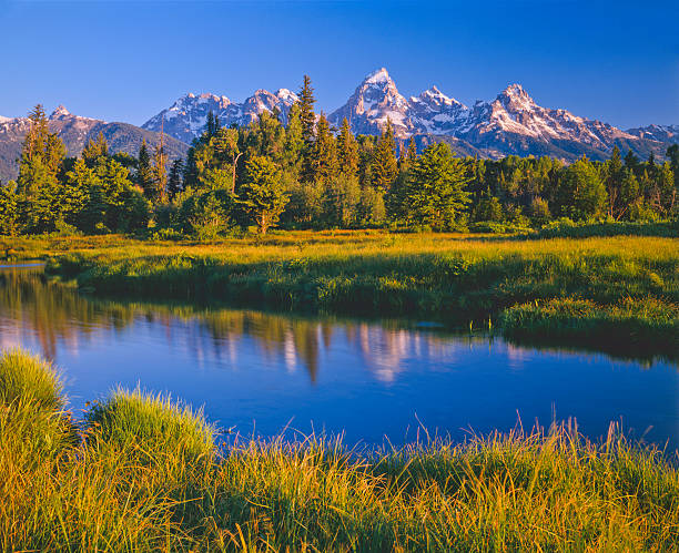 istock Grand Teton National Park 184111907