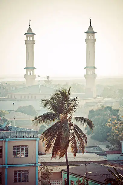 west african town view with palm tree and minarets of mosque.