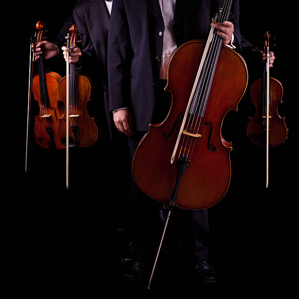 istock Quartet of string instrument musicians on a black background 184112364