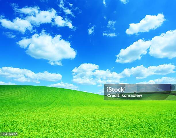 스퀘어 컴포지션 황록색 필드 풍경 경관에 대한 스톡 사진 및 기타 이미지 - 경관, 구름, 구름 풍경