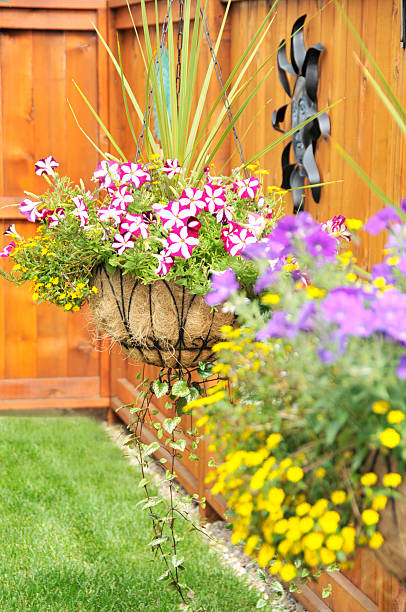 istock Colorful flower baskets in garden 184112605