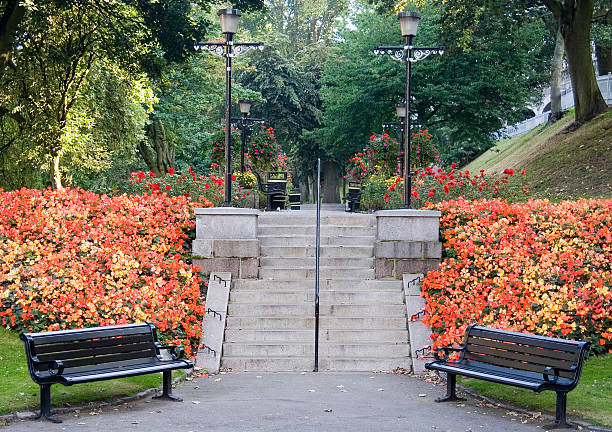 Peace and quiet in the middle of the city.