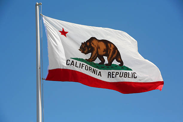 California Republic flag with a brown bear on stock photo