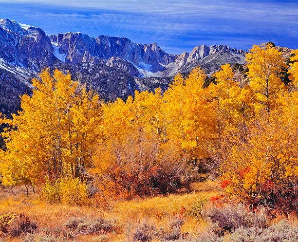 istock Tioga Pass Yosemite Natoinal Park 184113535