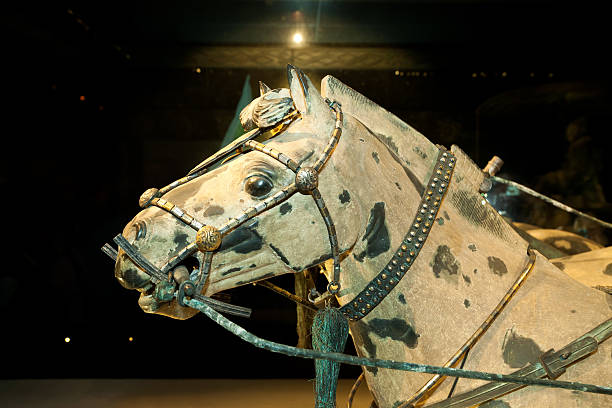 bronze e cavalos e charretes do exército de terracota em xi'an,, china - sculpture horse bronze china - fotografias e filmes do acervo