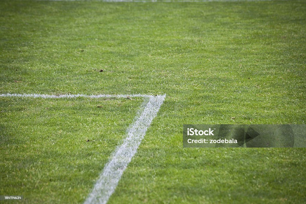 Corner of Soccer Field Particular of a grass football field Abstract Stock Photo