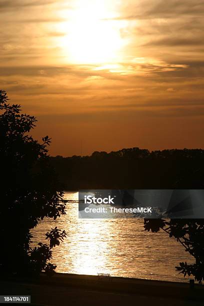 Schlepper Lastkahn Auf Den Mississippi Stockfoto und mehr Bilder von Anführen - Anführen, Anleitung - Konzepte, Baum