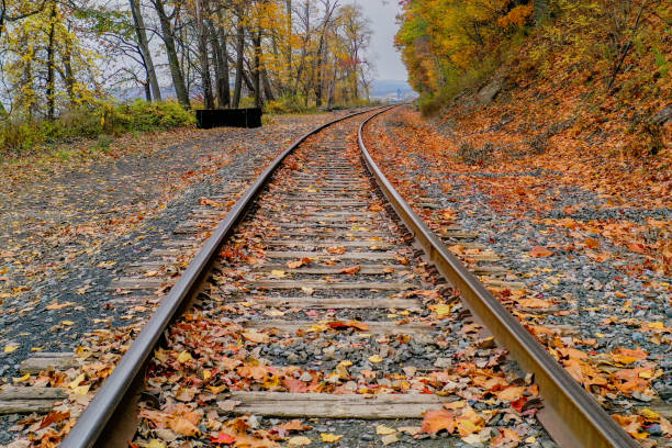 Colorful autumn leaves falling down on railway tracks with a slight bend to the right.