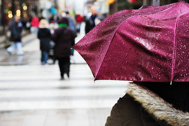 istock Pedestrian with umbrella on zebra crossing. It's raining 184114783