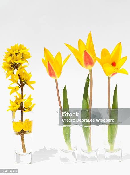 Yellow Serie Stockfoto und mehr Bilder von Blume - Blume, Blumenstrauß, Bunt - Farbton