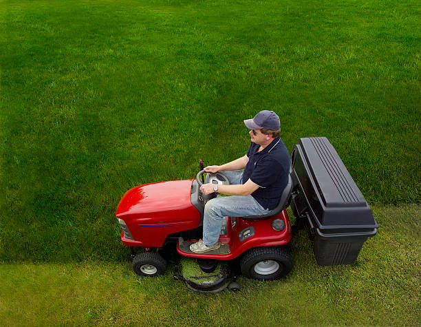 homem dirigindo um tractor relva - lawn mower red plant lawn imagens e fotografias de stock