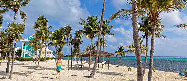 istock Palm Trees and Bungalow on the Beach, Little Cayman 184114971