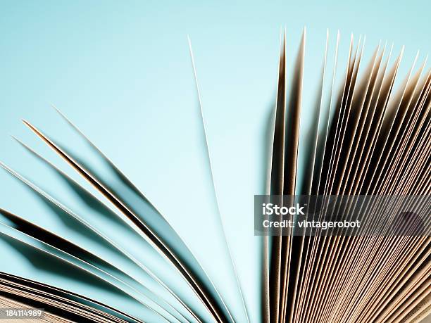 Open Pages Of A Book On Blue Stock Photo - Download Image Now - Art, Arts Culture and Entertainment, Blue