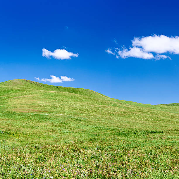 istock Spring landscape  XXXXL - meadow, blue sky 184115050
