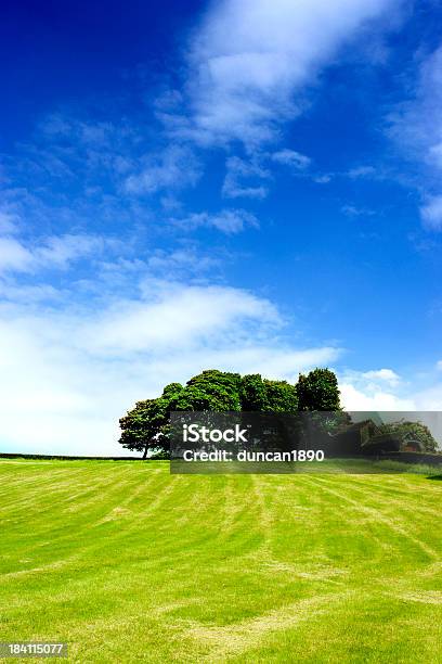 Photo libre de droit de Arbres Sur La Colline banque d'images et plus d'images libres de droit de Agriculture - Agriculture, Angleterre, Arbre