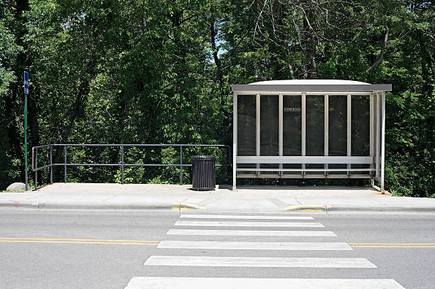 Bus shelter with crosswalk and forest stock photo