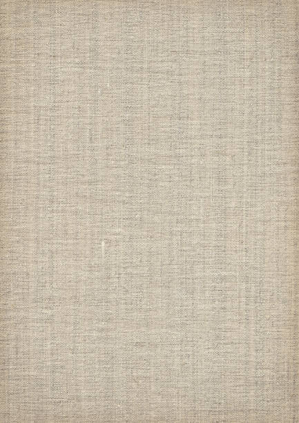 istock Hi-Res Artist's Unprimed Linen Canvas Coarse Vignette Grunge Texture 184115129
