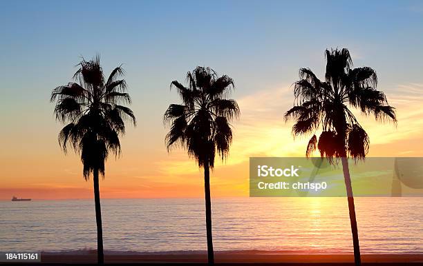 Sonnenuntergang Mit Palmen Stockfoto und mehr Bilder von Abenddämmerung - Abenddämmerung, Alles hinter sich lassen, Baum