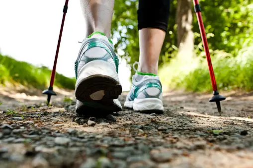 Nordic Walking Pictures | Download Free Images on Unsplash