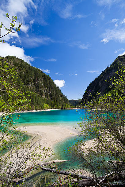 panda jezioro w jiuzhaigou, sichuan, chiny - natural landmark outdoors vertical saturated color zdjęcia i obrazy z banku zdjęć