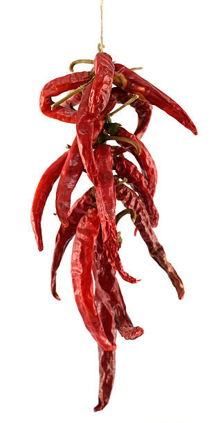 Ungherese asciugati Paprica (chili peppers) - foto stock