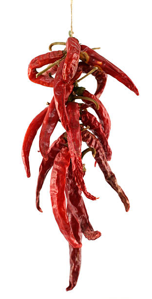 Húngaro secas Páprica (chili peppers - fotografia de stock