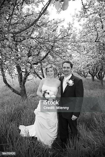 Spring Landscape Wedding Stock Photo - Download Image Now - Adult, Beautiful People, Beauty