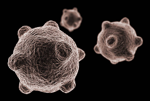 Three bacteria molecules on a black background stock photo