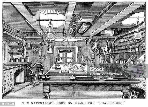 Die Naturforscher An Bord Der Hms Challenger Zimmer Stock Vektor Art und mehr Bilder von Mikroskop